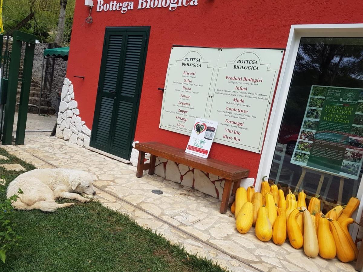 Agriturismo Rosso Lampone Cerreto Laziale 外观 照片