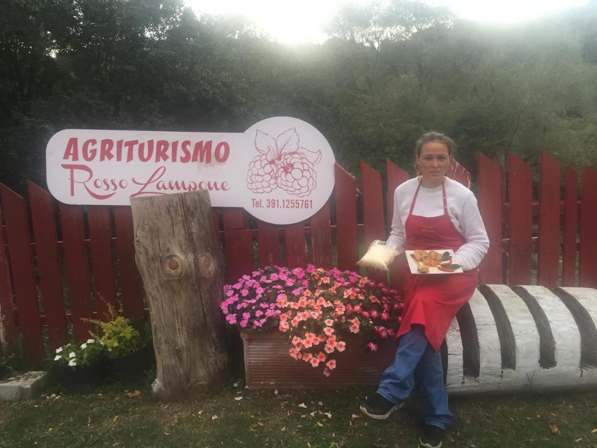 Agriturismo Rosso Lampone Cerreto Laziale 外观 照片