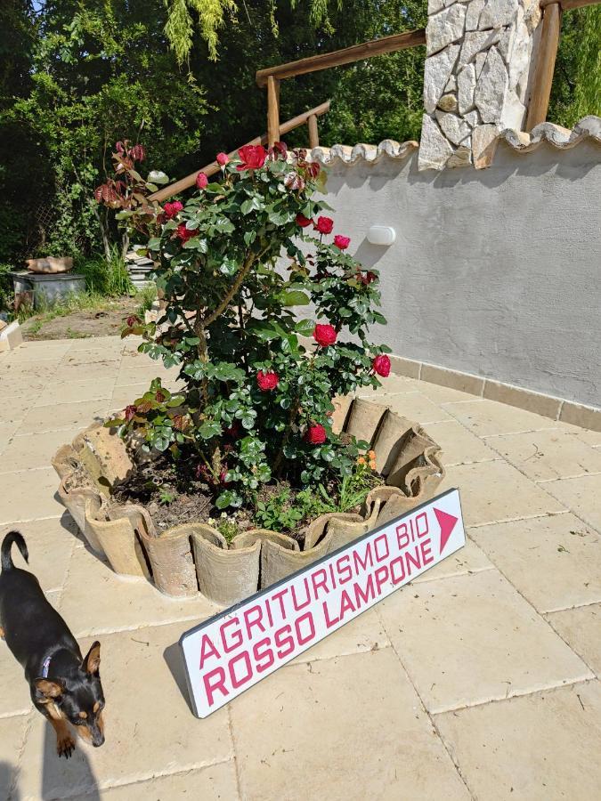 Agriturismo Rosso Lampone Cerreto Laziale 外观 照片